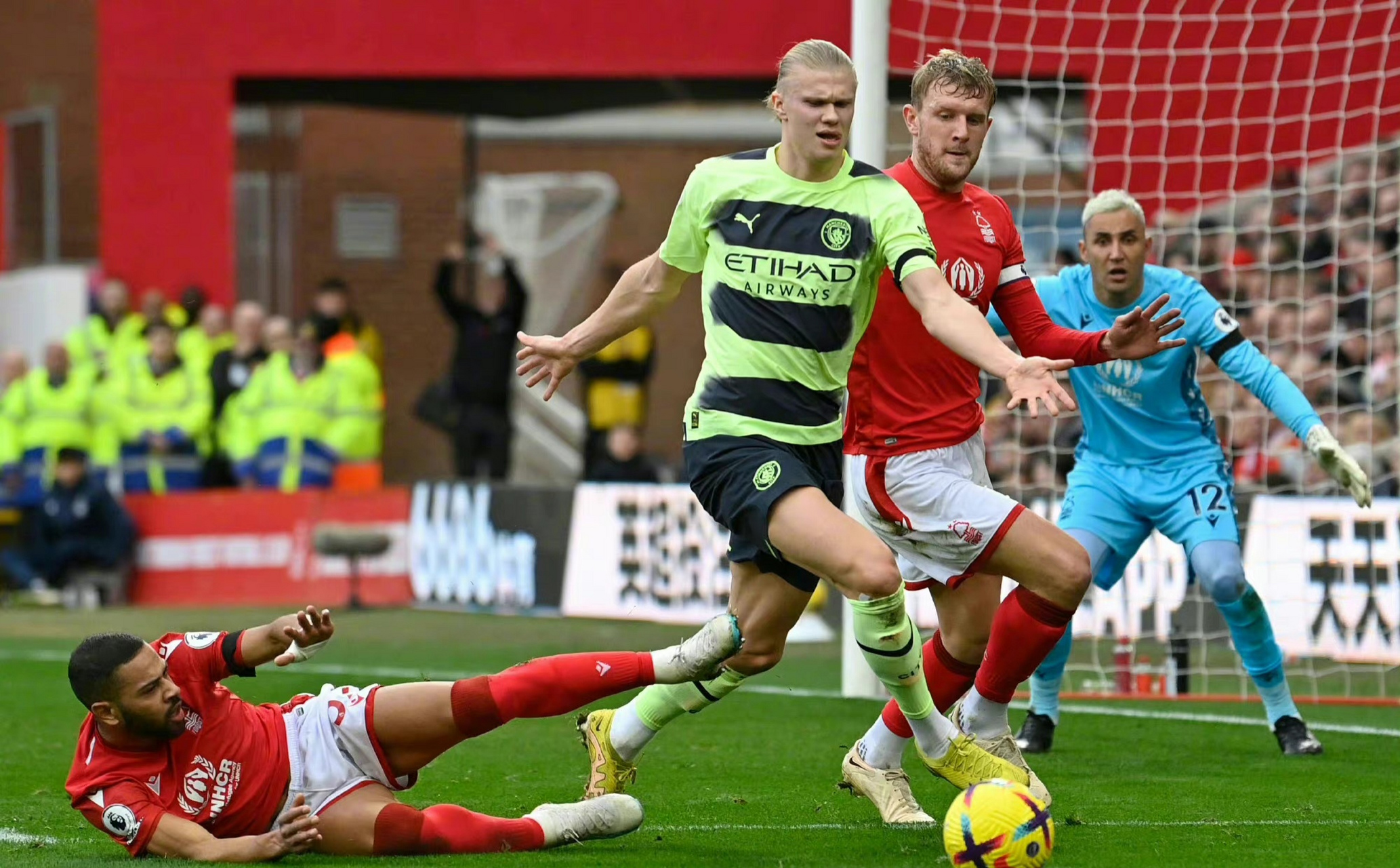 夏洛特卡塔库栗 夏洛特卡塔库栗